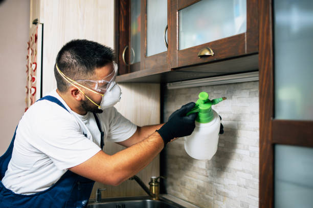 Best Termite Control Services  in Amity, OR