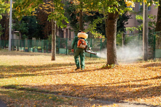 Best Exterminator Services  in Amity, OR