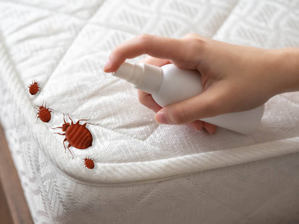 Trusted Amity, OR Pest Control Experts