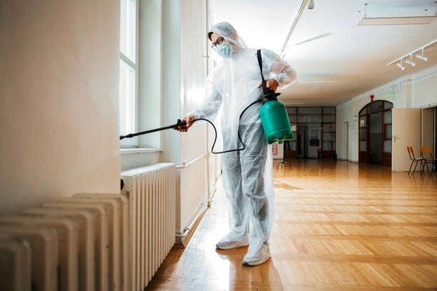 Best Local Pest Control Services  in Amity, OR